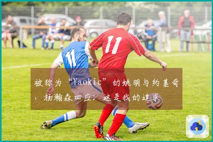 被称为“Yaokic”的姚明与约基奇，杨瀚森回应：这是我的追求
