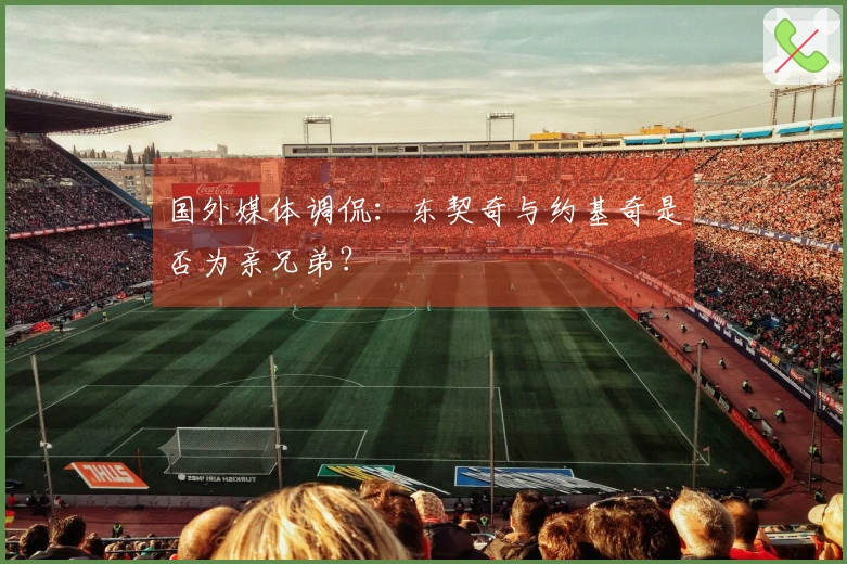 国外媒体调侃：东契奇与约基奇是否为亲兄弟？