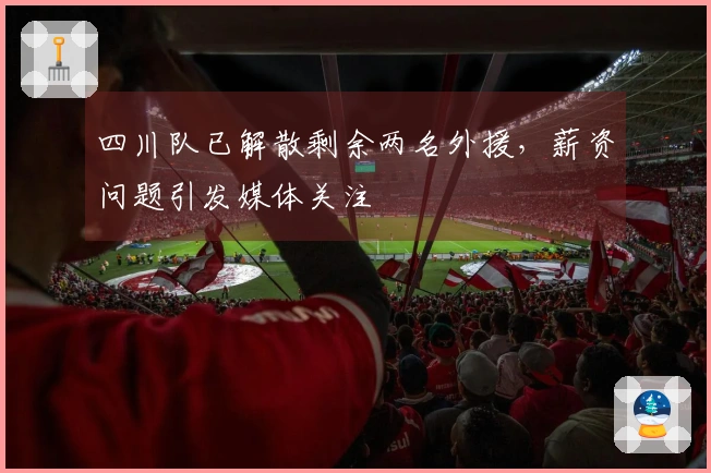 四川队已解散剩余两名外援，薪资问题引发媒体关注