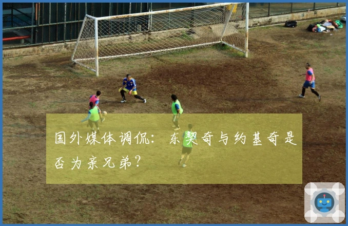 国外媒体调侃：东契奇与约基奇是否为亲兄弟？