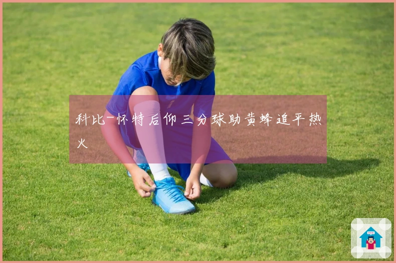 科比-怀特后仰三分球助黄蜂追平热火