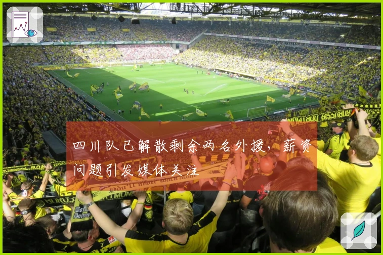 四川队已解散剩余两名外援，薪资问题引发媒体关注